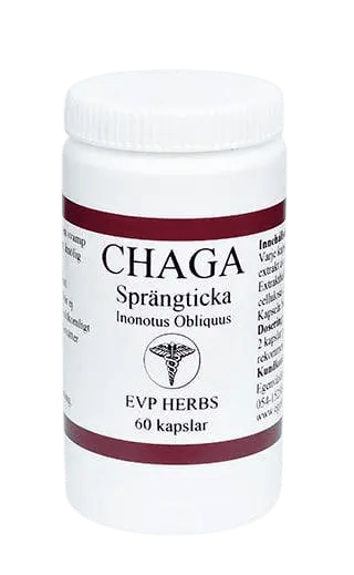 Chaga Läkesvamp - VitamineralKosttillskott